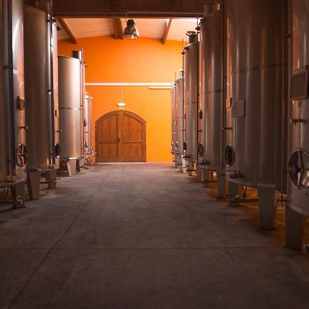 Tranca Da Barriga - Casa Do Vinho By Quinta De Sao Tiago Villa Covilhã Dış mekan fotoğraf