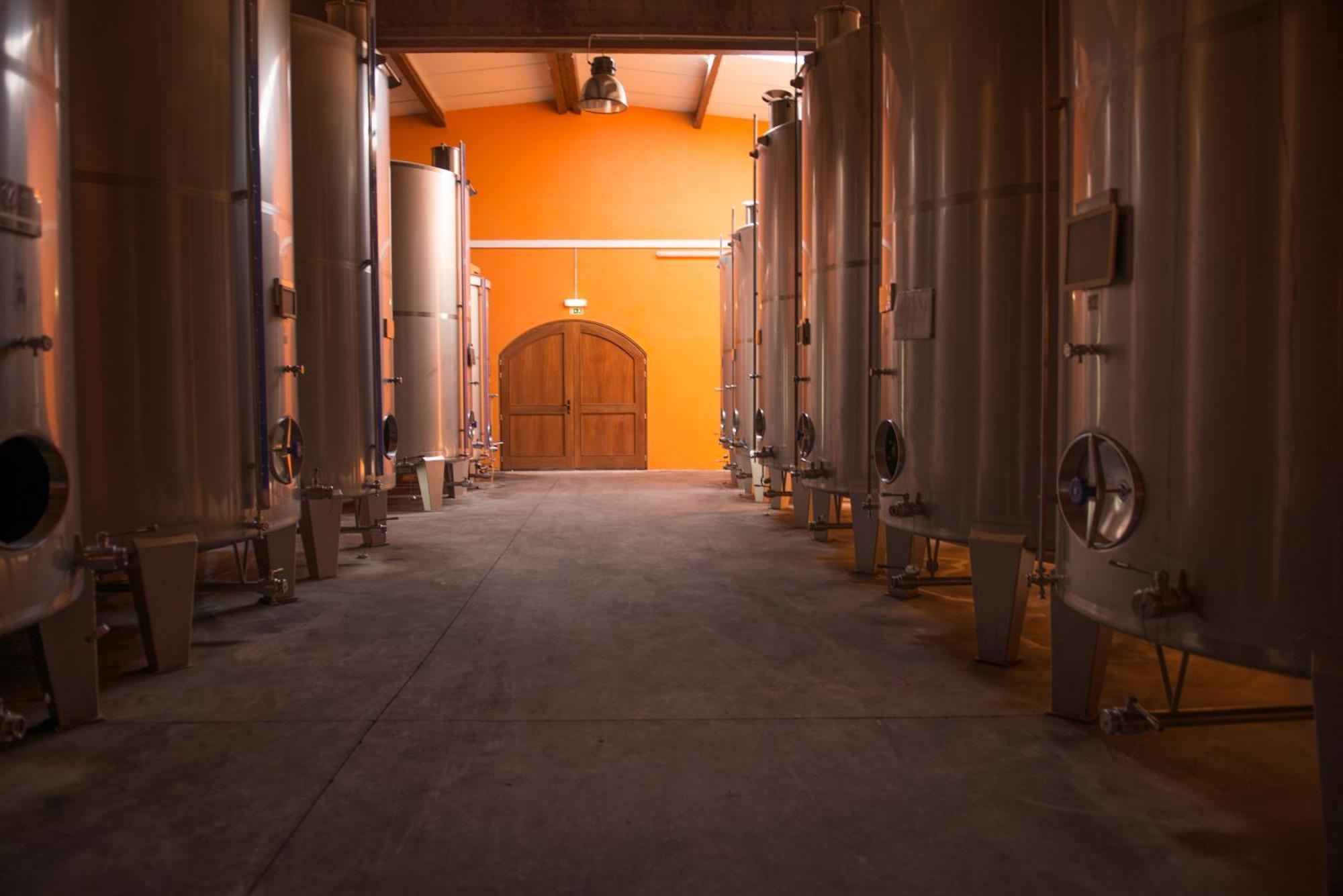 Tranca Da Barriga - Casa Do Vinho By Quinta De Sao Tiago Villa Covilhã Dış mekan fotoğraf