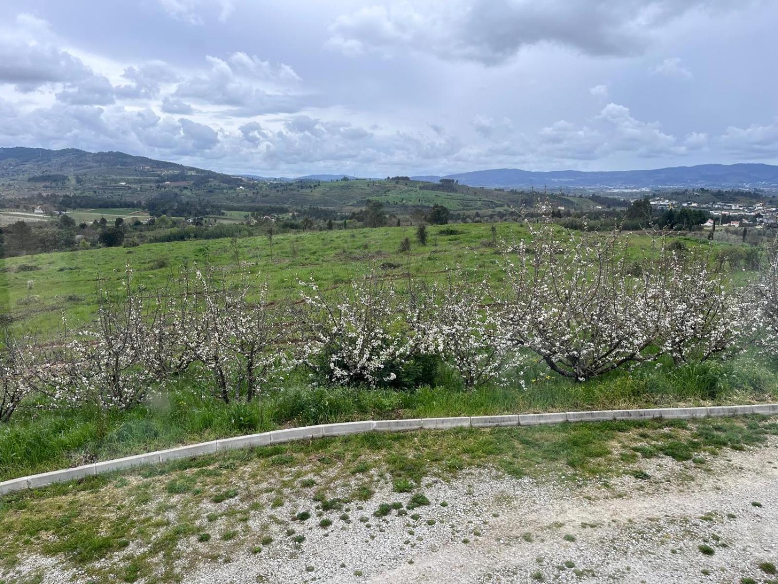 Tranca Da Barriga - Casa Do Vinho By Quinta De Sao Tiago Villa Covilhã Dış mekan fotoğraf