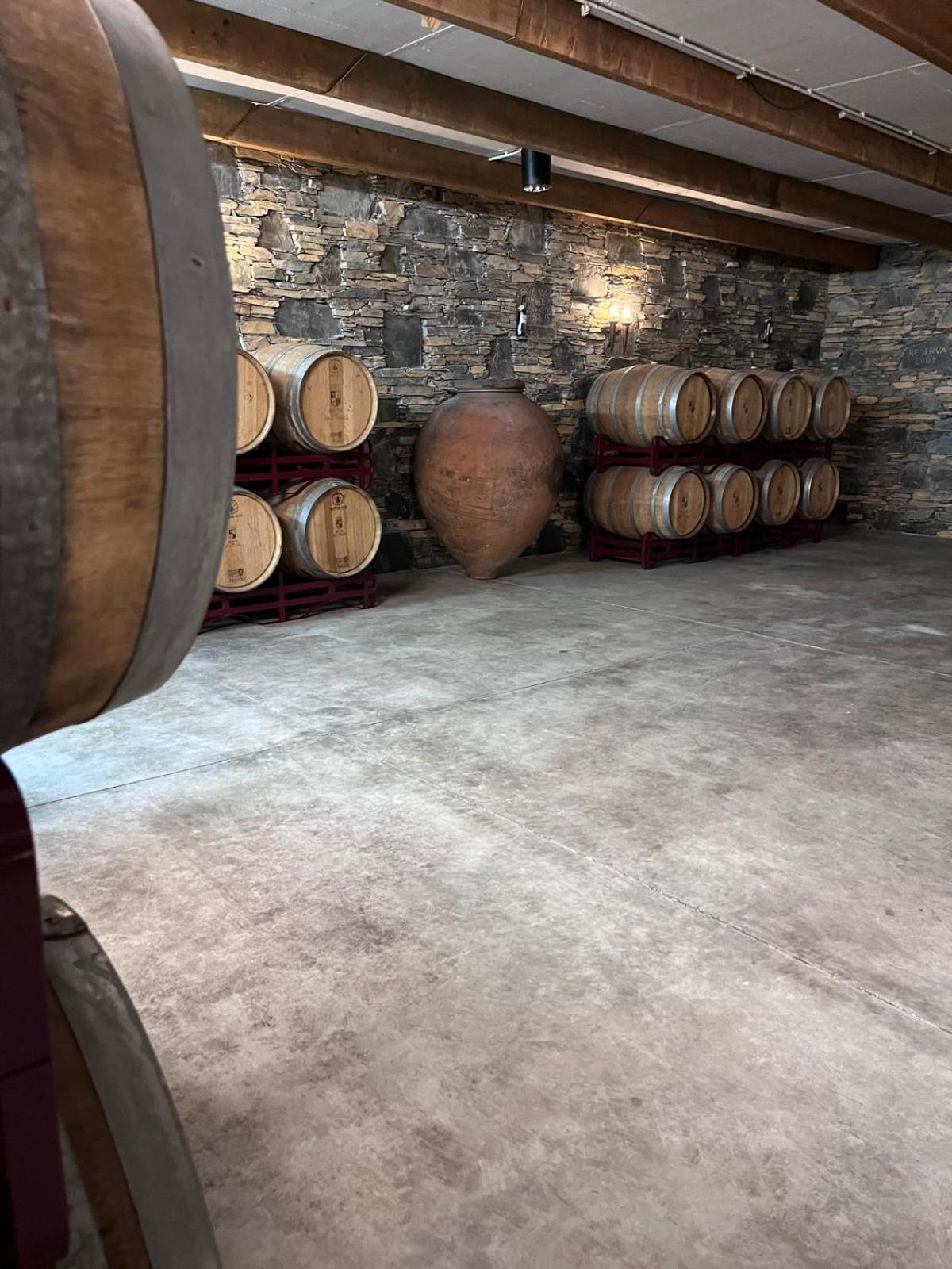 Tranca Da Barriga - Casa Do Vinho By Quinta De Sao Tiago Villa Covilhã Dış mekan fotoğraf
